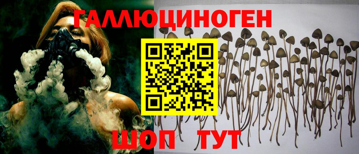 Псилоцибиновые грибы GOLDEN TEACHER Дзержинск